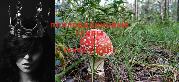 прущая мука Аркадак