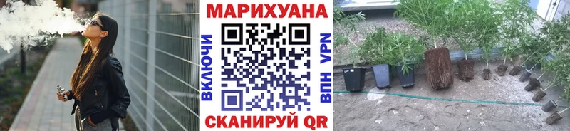 Шишки марихуана сатива  наркота  Тавда 